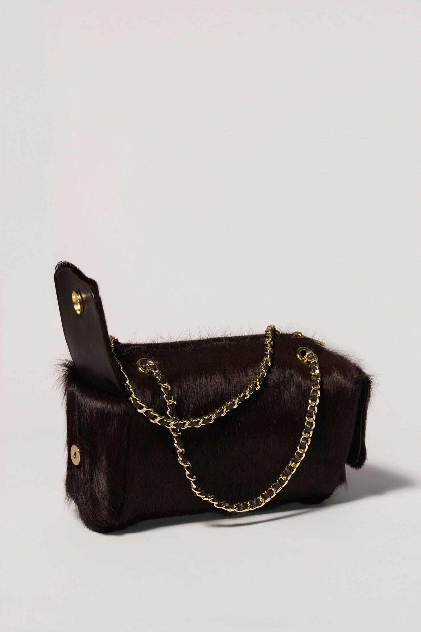 MaryGo Ponyhair Trotter
- Stallion Brown