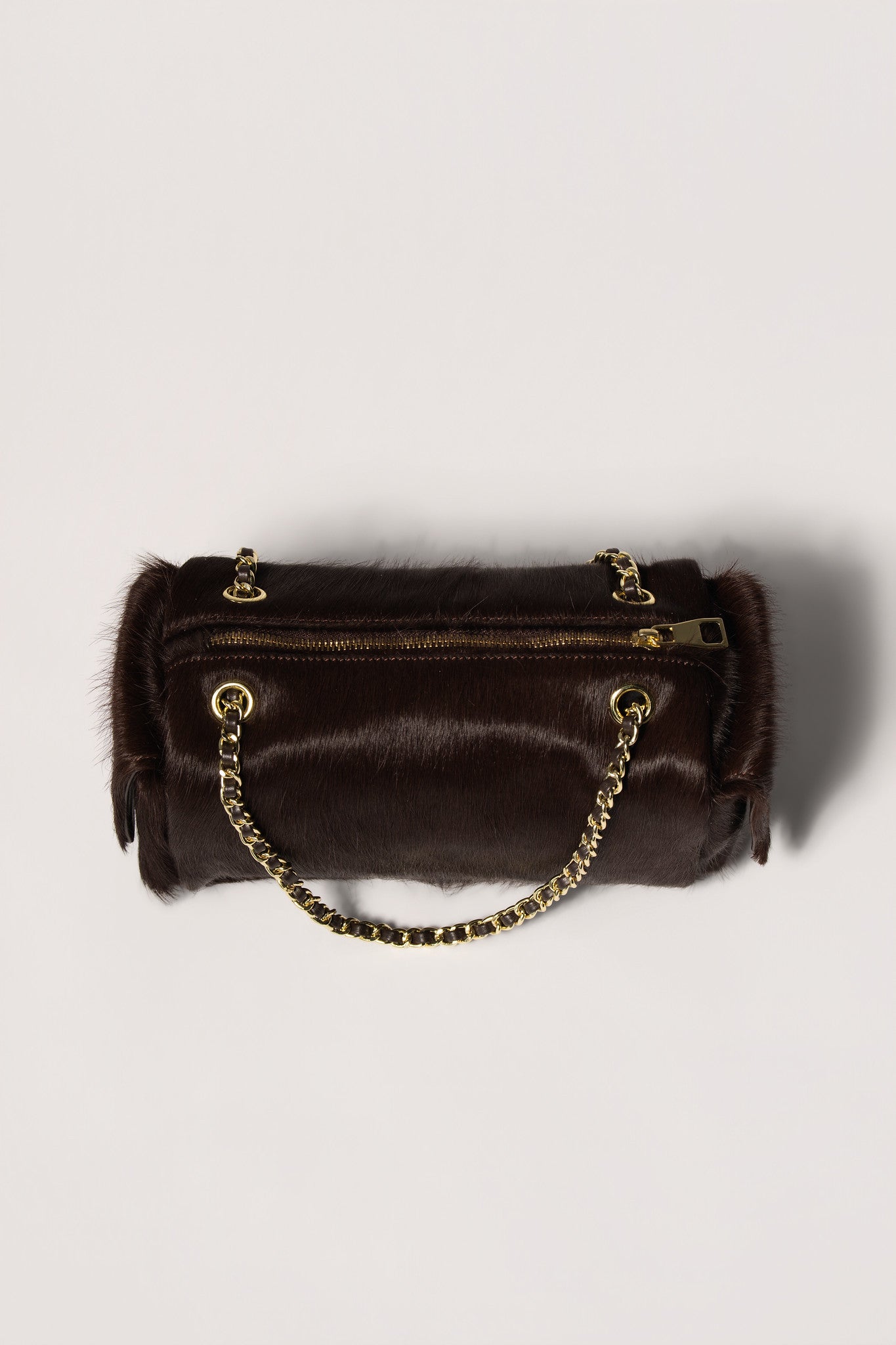 MaryGo Ponyhair Trotter
- Stallion Brown