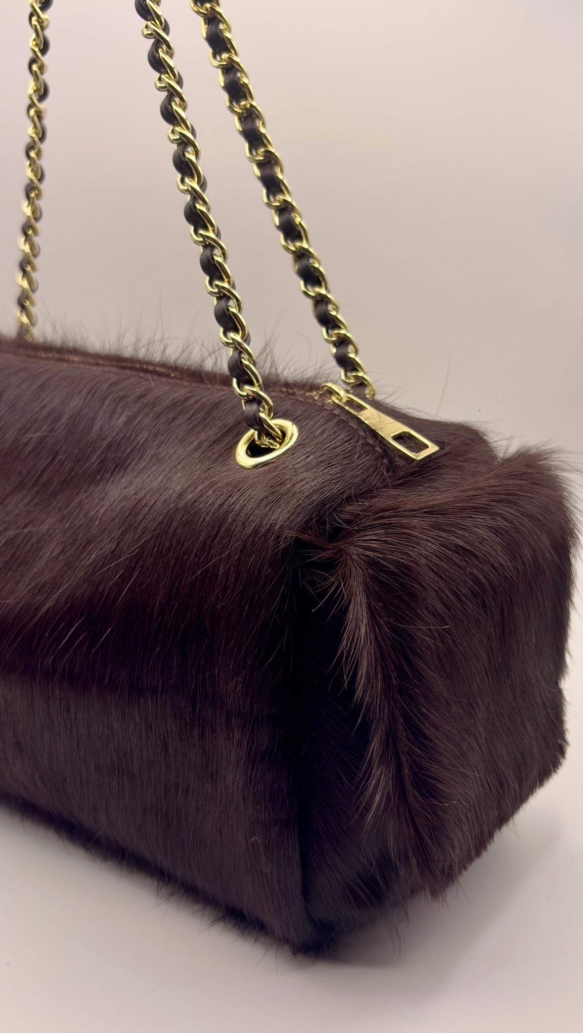 MaryGo Ponyhair Trotter
- Stallion Brown