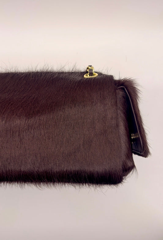 MaryGo Ponyhair Trotter
- Stallion Brown