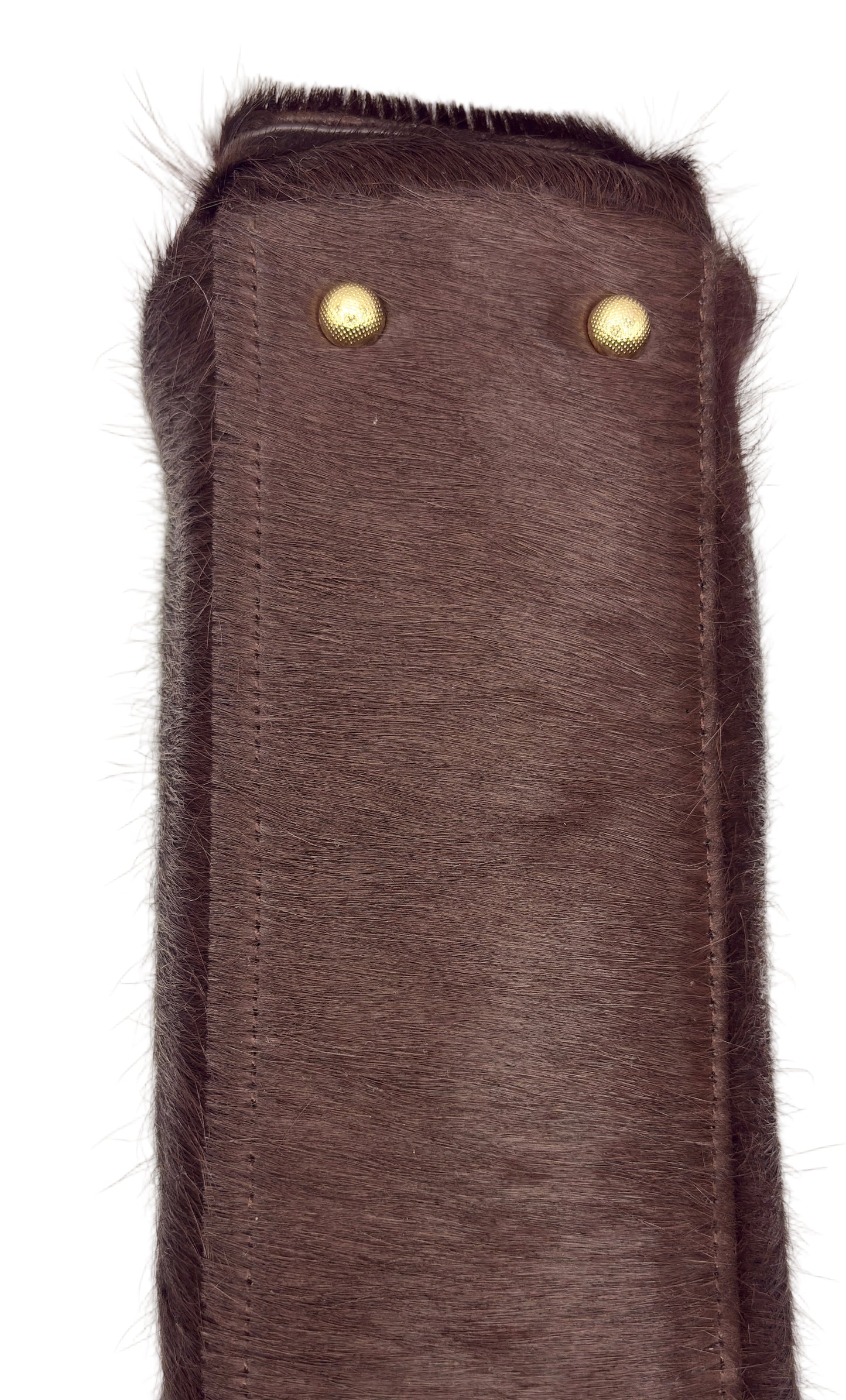 MaryGo Ponyhair Trotter
- Stallion Brown