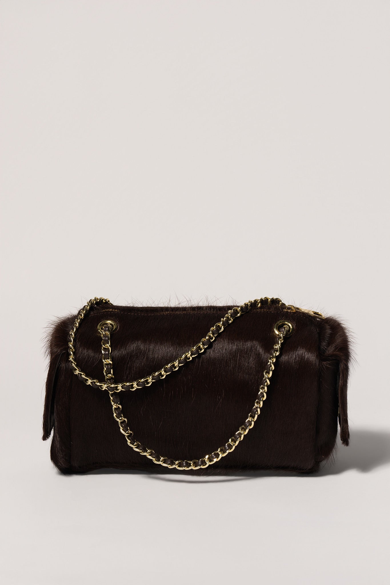 MaryGo Ponyhair Trotter
- Stallion Brown