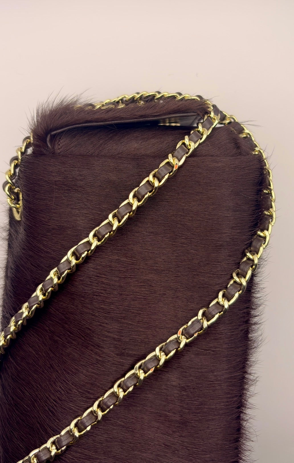 MaryGo Ponyhair Trotter
- Stallion Brown