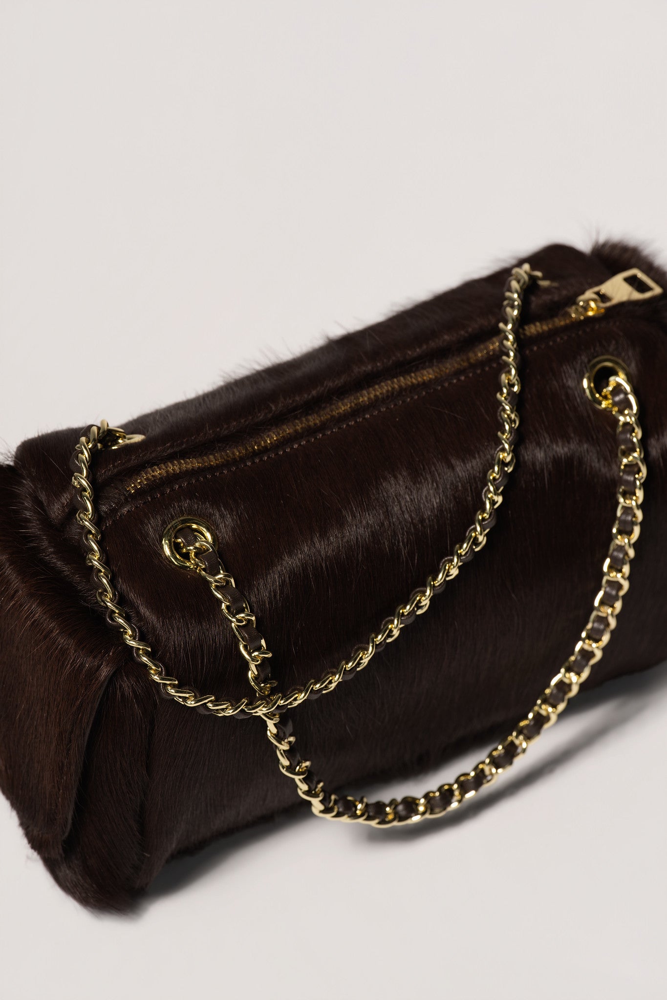 MaryGo Ponyhair Trotter
- Stallion Brown