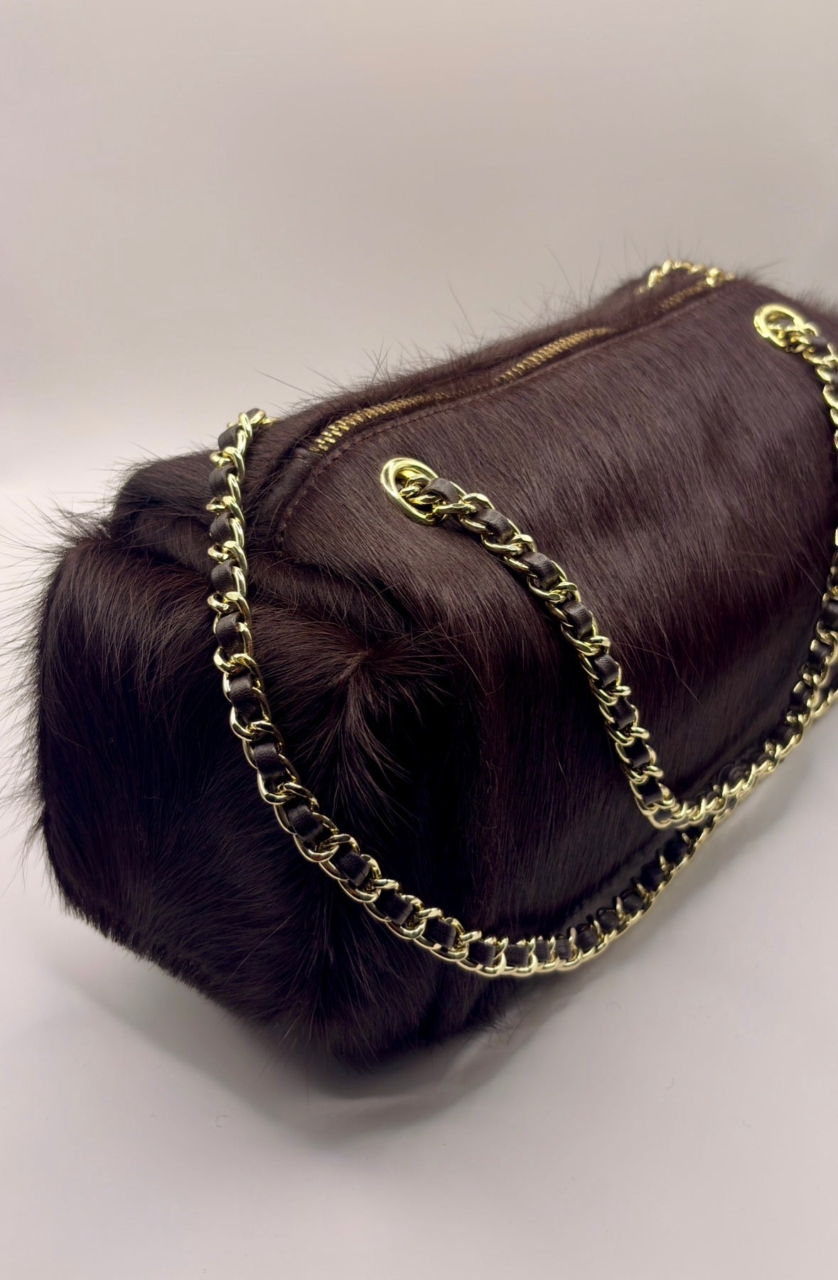 MaryGo Ponyhair Trotter
- Stallion Brown